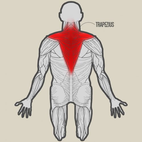 Плечевой ремень-трапеция