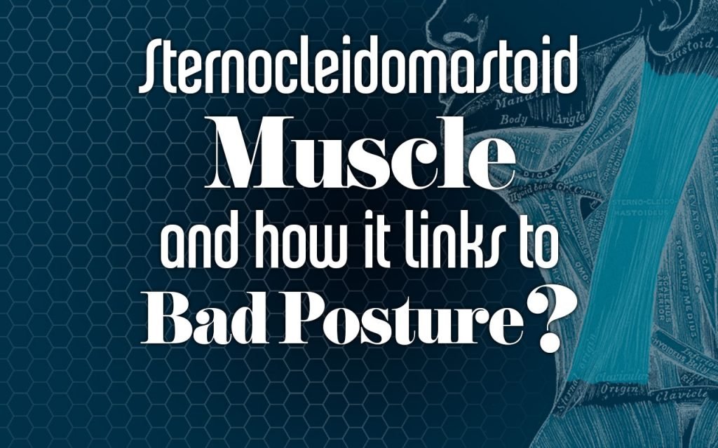SternocleidomastoidMuscleAndlinkToBadPosture-1
