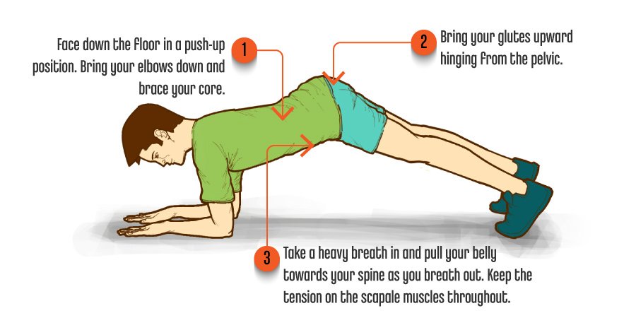 3 AdvancedPlankwithProtraction 3 AdvancedPlankwithProtraction