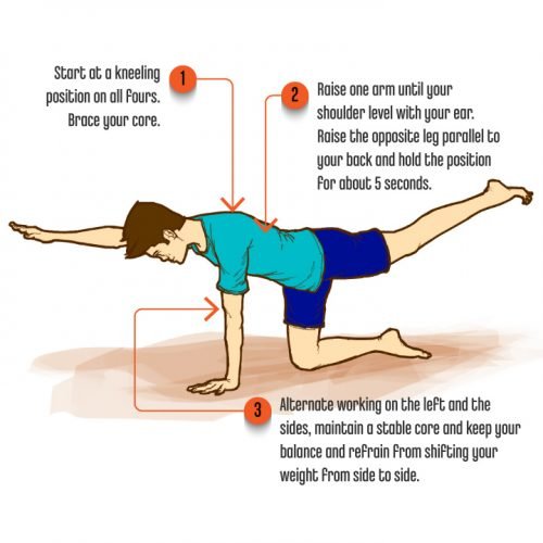 Core Exercises-BirdDog