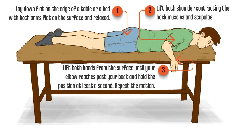 9 ProneTScapularStabilizationExercise 9 ProneTScapularStabilizationExercise