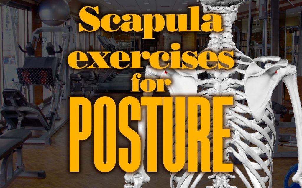 ScapulaExercisesForPosture