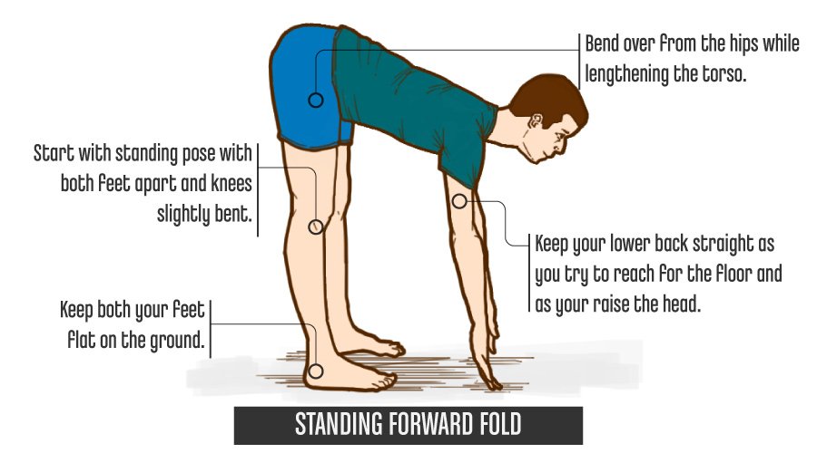 StandingForwardFold