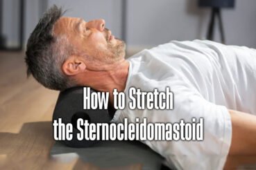 how-to-stretch-the-sternocleidomastoid