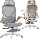 Ergonomic Office Chair
